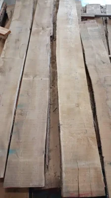 kedia_udyog_Oak_3
